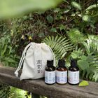 禮盒-潤覺茶 茶籽潤澤輕旅行組(保濕洗+白薑潤+舒緩沐+束口袋), , hi-res